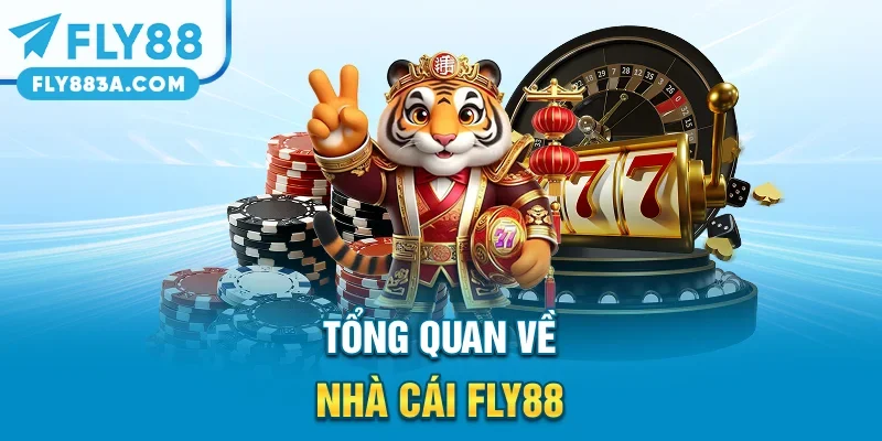 Tổng quan về nhà cái FLY88